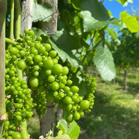 兰卡斯托夫奥森住宿加早餐旅馆 4*