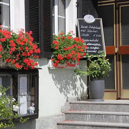 兰卡斯托夫奥森住宿加早餐旅馆 酒店 辛茨海姆