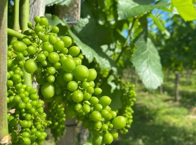 Landgasthof Ochsen 4*